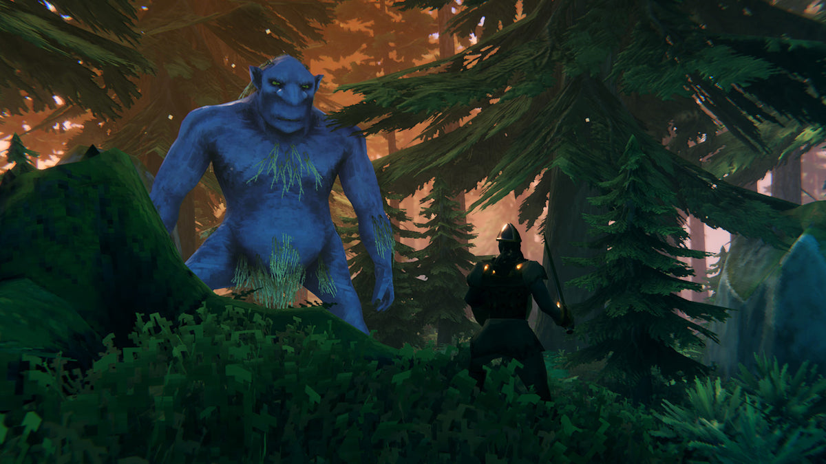 Valheim - captura 6