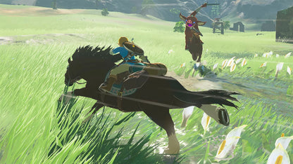 The Legend of Zelda: Breath of the Wild - Nintendo Switch - captura 2
