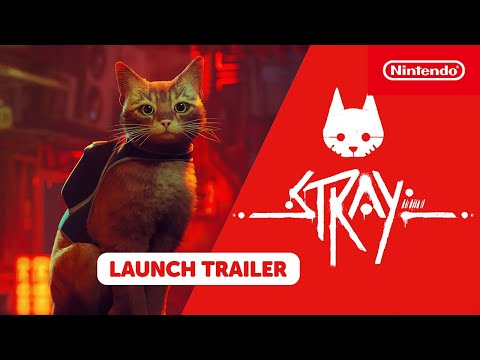 Tráiler de STRAY